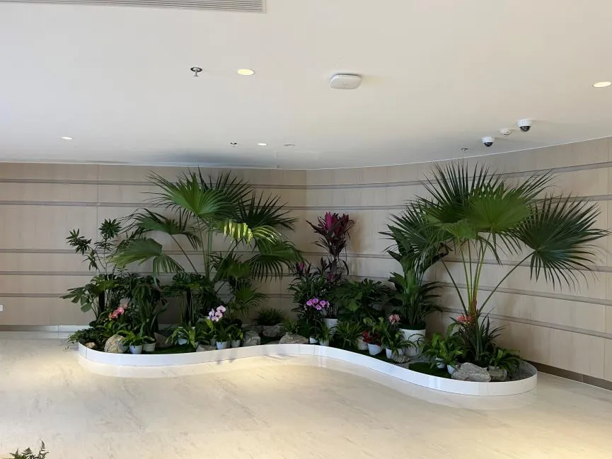 宁波海曙花卉租赁，以实惠点亮生活！